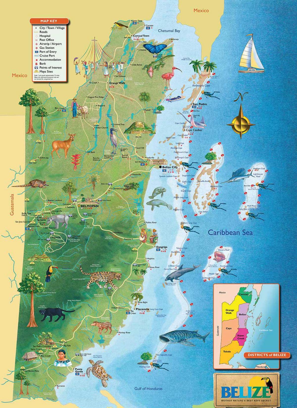 Belize hartë port